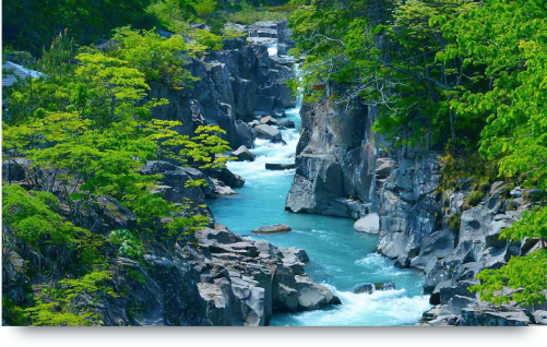 サンプルメージ