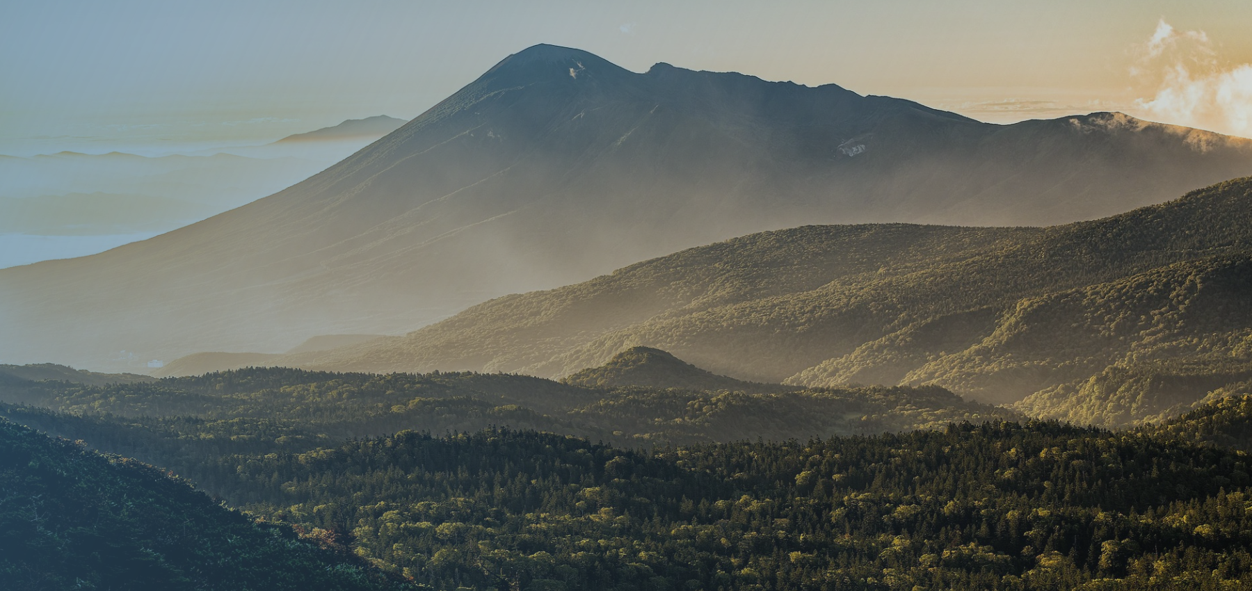 トップイメージ01